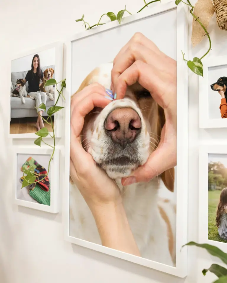 Gallery Wall Ideas | How to Arrange a Cohesive Display | Home Decor Tips